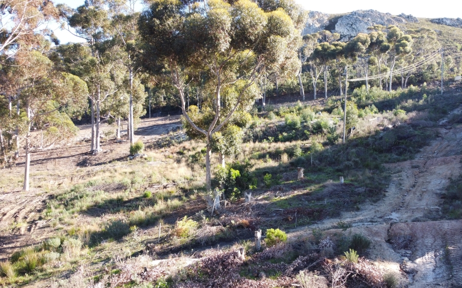 0 Bedroom Property for Sale in Hemel and Aarde Western Cape